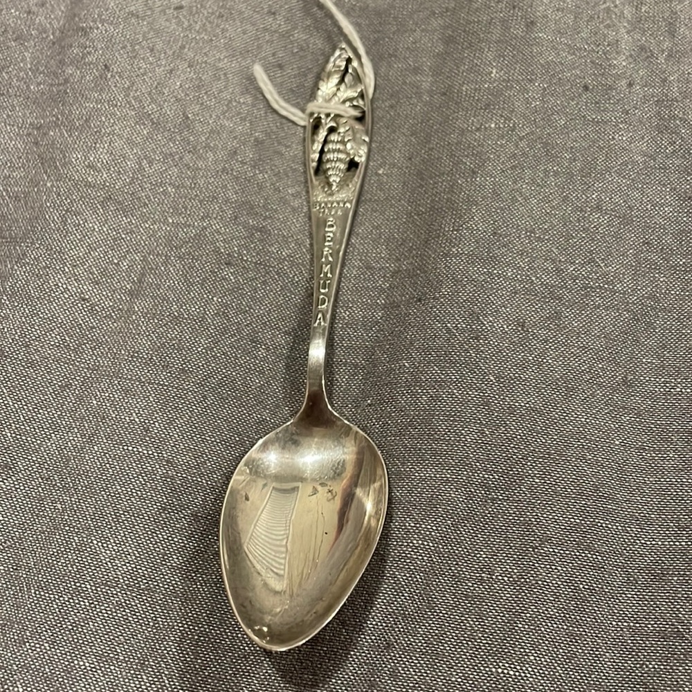 Bermuda spoon